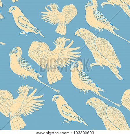 Seamless Pattern Jaco, Lovebird, Wavy Parrot Kakadu. Vector Illustration