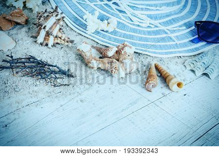 Sand and shells and hat on the wooden floor of the blue summer concept travel Seychely beach Florida Hawai swimm in Bali summer pradise