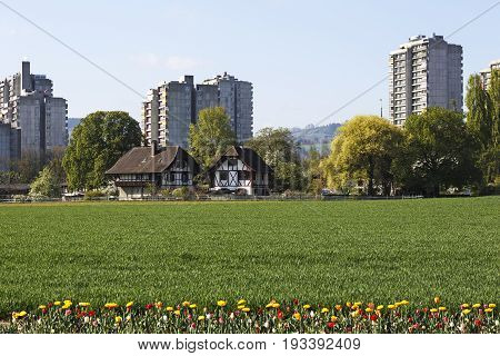 Bern Switzerland - April 14 2017: The diversity of architecture in the Murifeld district. Traditional half-timbered houses in contrast to concrete multi-family houses surrounded by trees and fields
