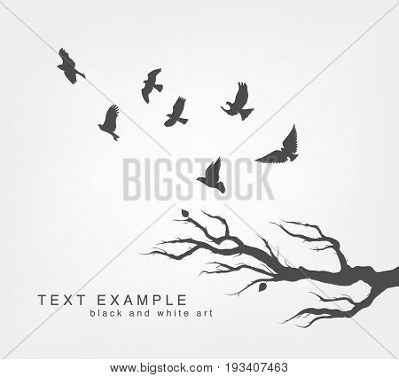 flock of flying birds on tree branch