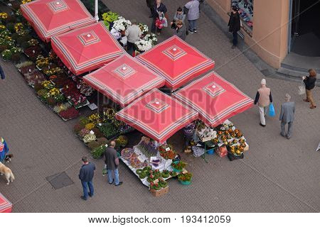 ZAGREB, CROATIA - OCTOBER 16: Flower market downstairs Dolac the main market in Zagreb, Croatia on October 16, 2016.