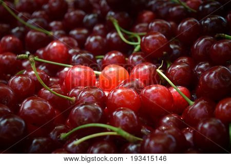 Sweet red cherry background cherry with leaf