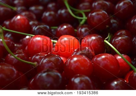 Sweet red cherry background cherry with leaf