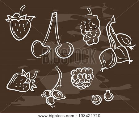 Collection of hand-drawn berryon blackboard. Retro vintage style .Vector illustration EPS10