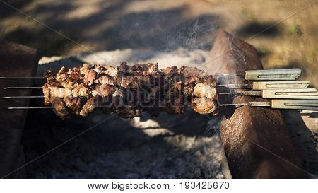 Closeup Of Some Meat Skewers Being Grilled In A Barbecue