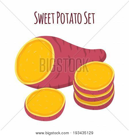 Brown batat, sweet potato. Organic healthy vegetable. Fresh natural root. Made in cartoon flat style