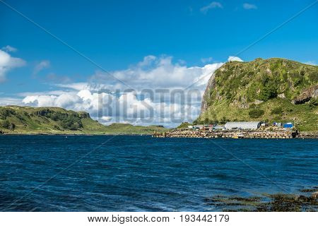 The shores between Gallanach and Oban, Scotland