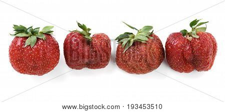 Imperfect organic ripe heirloom strawberries isolated closeup