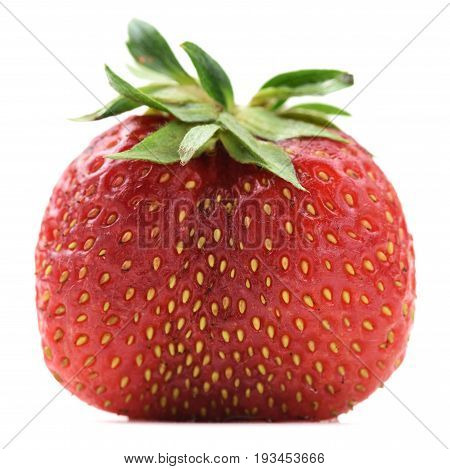 Imperfect organic fresh ripe heirloom strawberry isolated closeup