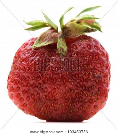 Non-ideal organic red ripe sweet strawberry isolated closeup