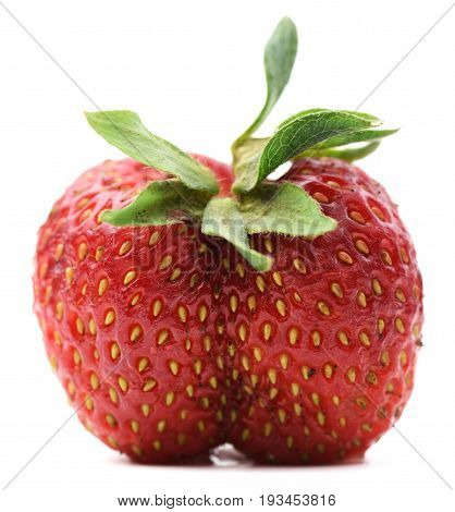 Ugly organic fresh ripe sweet strawberry isolated closeup