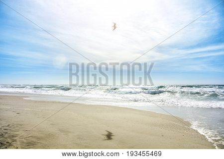 A Beautiful Wild Unexplored Paradise Bay Beach Far From The City With Transparent Water And White Cl