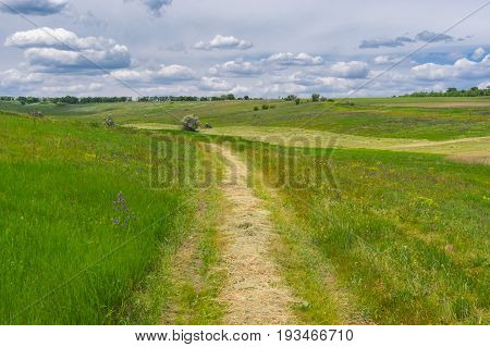 Ukrainian summer landscape with meadow in haymaking time