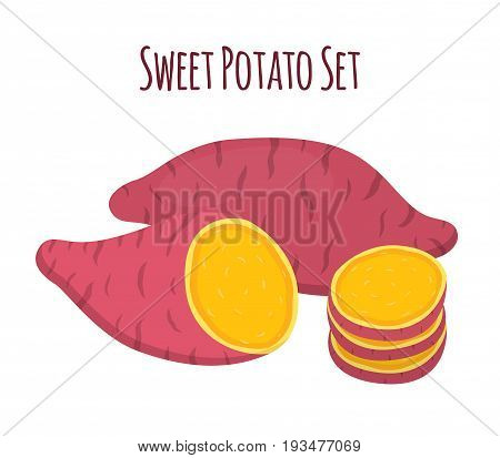 Brown batat, sweet potato. Organic healthy vegetable. Fresh natural root. Made in cartoon flat style