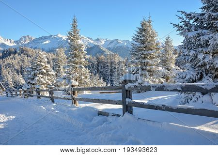 A Fence Covered With Snow In A Snowy Landscape