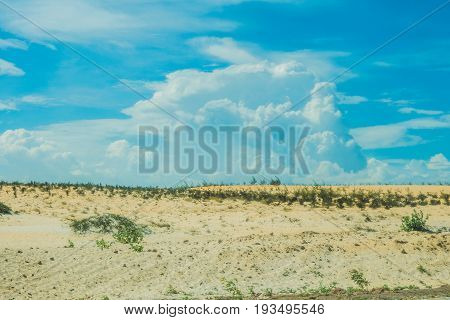 Yellow Sand In The Desert, Vietnam