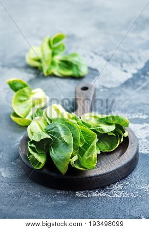 Fresh Bock Choi