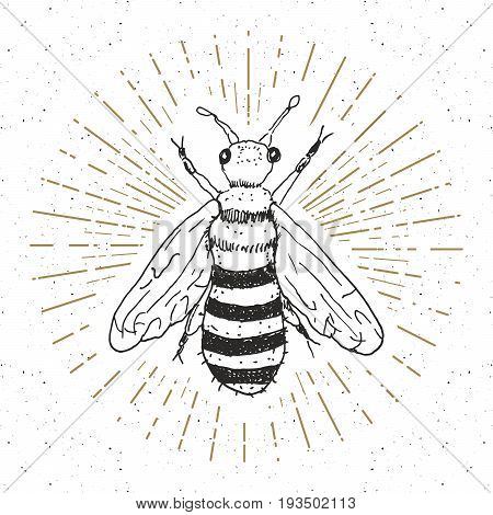 Vintage label Hand drawn bee grunge textured badge retro logo template typography design vector illustration.