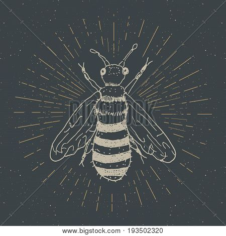 Vintage label Hand drawn bee grunge textured badge retro logo template typography design vector illustration.