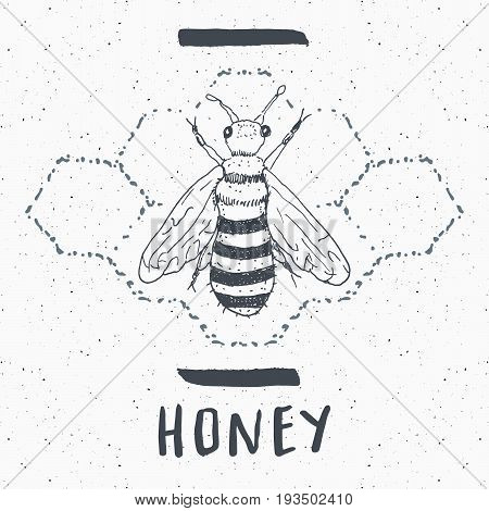 Vintage label Hand drawn bee grunge textured badge retro logo template typography design vector illustration.