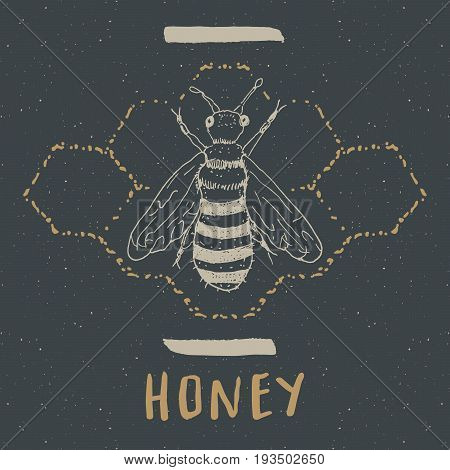 Vintage label Hand drawn bee grunge textured badge retro logo template typography design vector illustration.