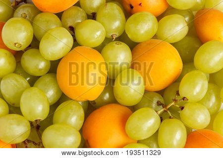 Grapes and apricots Background. Selective focus Summer fruit.