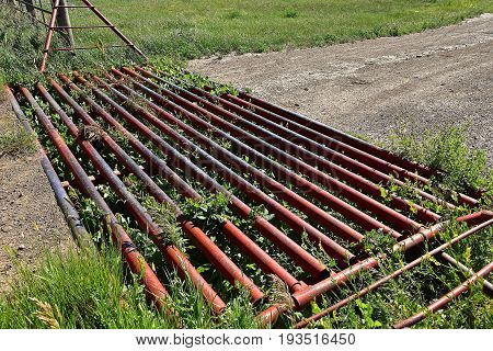 A metal grated cattle guard crossing in the western prairies