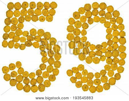 Arabic Numeral 59, Fifty Nine, From Yellow Flowers Of Tansy, Isolated On White Background
