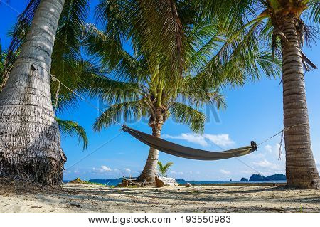 Hammock between palms trees at sandy beach in Rusukan besar island,Labuan Pearl of Borneo,Malaysia