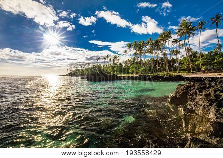Coconut palm trees on the beach during the sunrise on Upolu, Samoa Islands