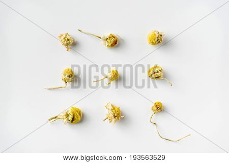 Top view of dry herb on white background desk for mockup collection of diverse angle.