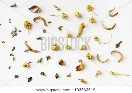 Top view of dry herb on white background desk for mockup collection of diverse angle.
