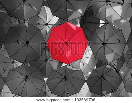 Bright red outstanding umbrella hanging among black umbrellas. Individuality and difference concept.