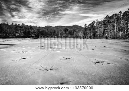 Black and white winter landscape of dangerous cracked ice on frozen Lake Powhatan in North Carolina