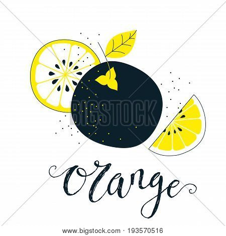 Hand drawn orange illustration with lettering. Fresh natural fruit background. Vector banner, paster, package design. Natural food market concept. Organic design