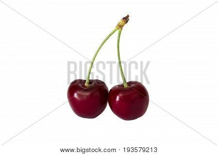 Sweet red cherries on a stem isolated on white background