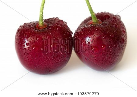 Two sweet red cherries with water drops isolated on white background macro