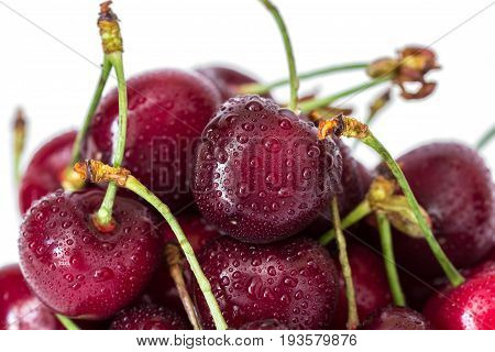 Pile of red cherries on a stem with water drops macro