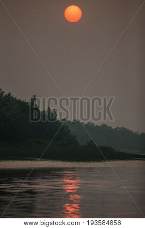 Beauty of Sundarbans mangroves and tiger reserve in India