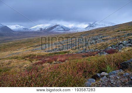 Autumn landscape of Altay. Sunset in the steppe beautiful evening sky with clouds plato Ukok no one around Altai Siberia Russia