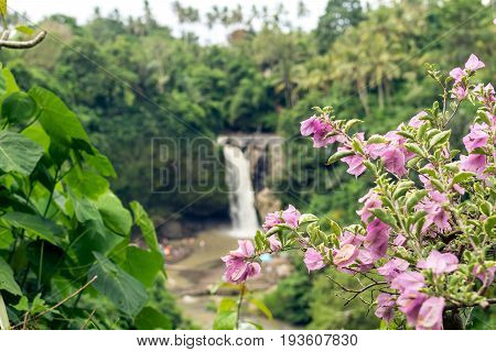 Waterfall deep in the tropical rain forest of Ubud, trpical Bali island.