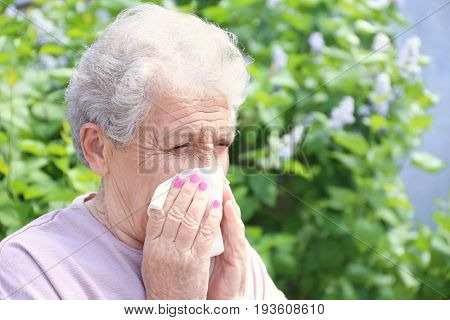 Sneezing elderly woman with nose wiper among blooming bushes. Concept of allergy