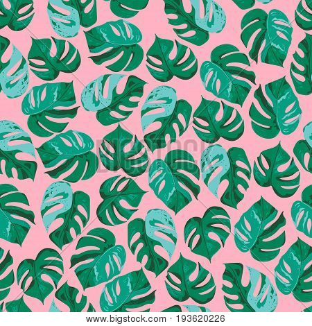 Vector seamless pattern with green monstera leaves on pinck background. Vector illustration.