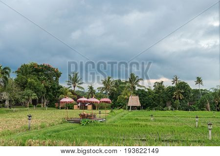 Restaurant facing the rice fields in Bali. Traditional Balinese restaurant facing the rice fields.
