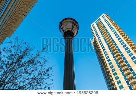 Bottom view of a streetlight a tree and skyscrapers on the background of clear sky Atlanta USA