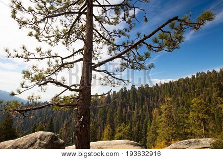 Viewing point from Generals Hwy thru Sequoia National Park in California, USA