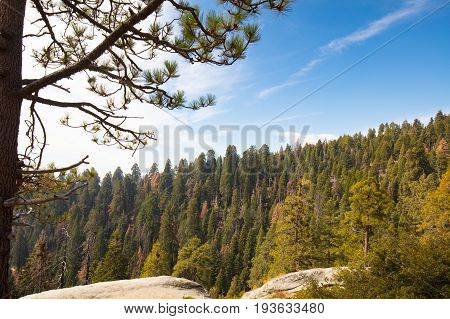 Viewing point from Generals Hwy thru Sequoia National Park in California, USA