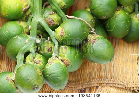 Betel parm on tree with the nature