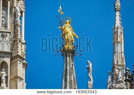 The Madonnina atop Milan Cathedral in Milan, italy. This statue was erected in 1762 at the height of 108.5 m. Milan Duomo is the largest church in Italy and the fifth largest in the world.