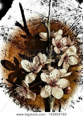 still life of a branch of almond tree in bloom